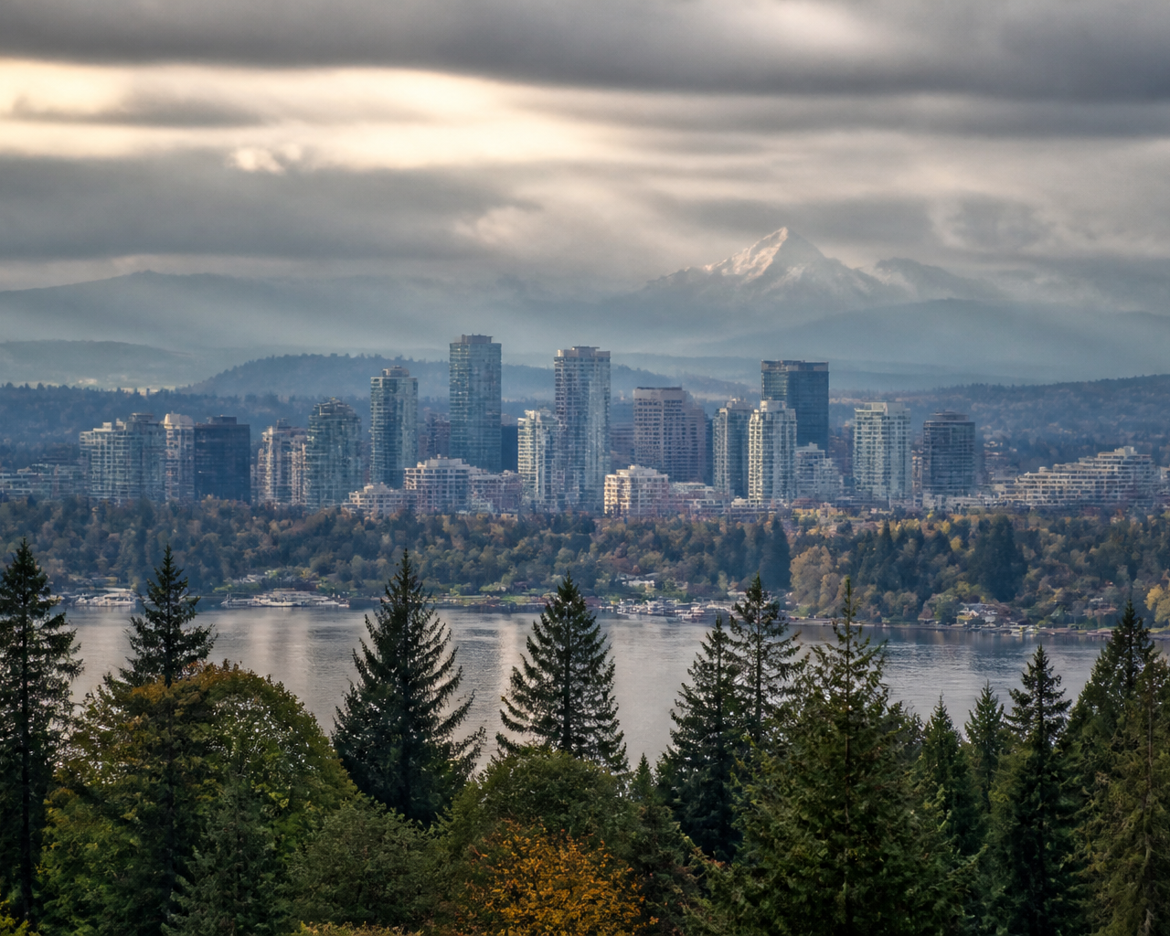 Downtown Bellevue: A Local's Guide