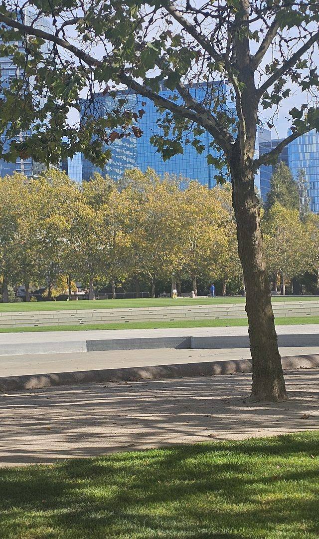 Bellevue Downtown Park in Bellevue, WA