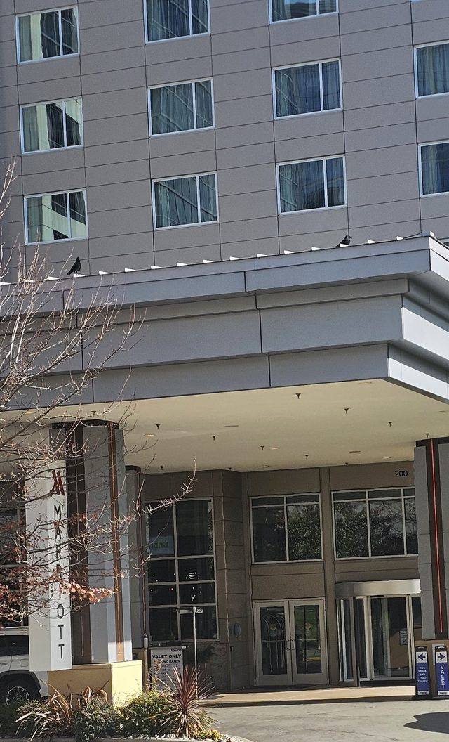 Seattle Marriott Bellevue in Bellevue, WA